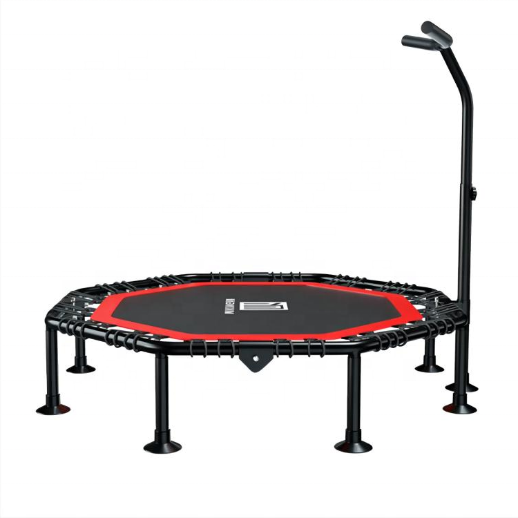 Trampoline with Adjustable Han - Home Bar And Gym のレビューと価格